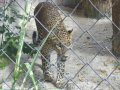 IMGP0855.JPG